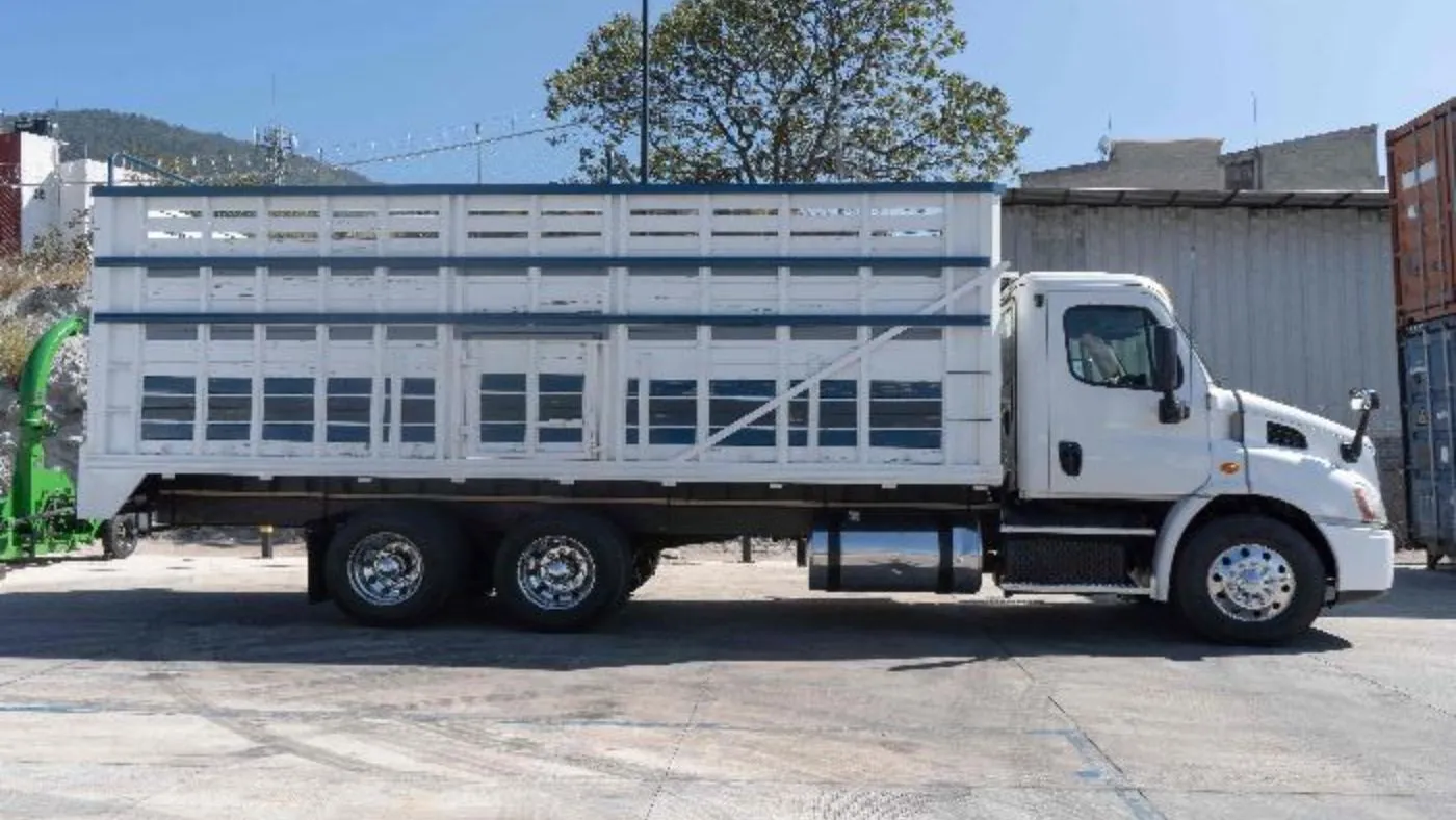 Camiones para mudanza en Morelia