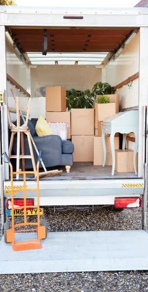 polarizado de coches